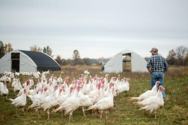 Covey Rise Farms